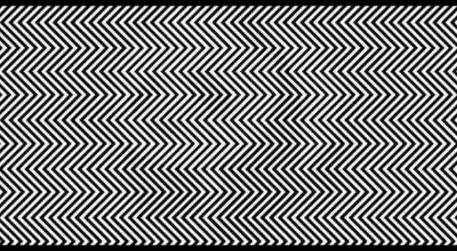 Βλέπετε το ζώο που κρύβεται σε αυτήν τη φωτογραφία; Μόνο 1 στους 100 το βλέπει! (Photo) - Media