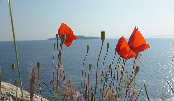 Στους 26 βαθμούς σήμερα το θερμόμετρο - Άστατος ο καιρός την Πρωτομαγιά - Media