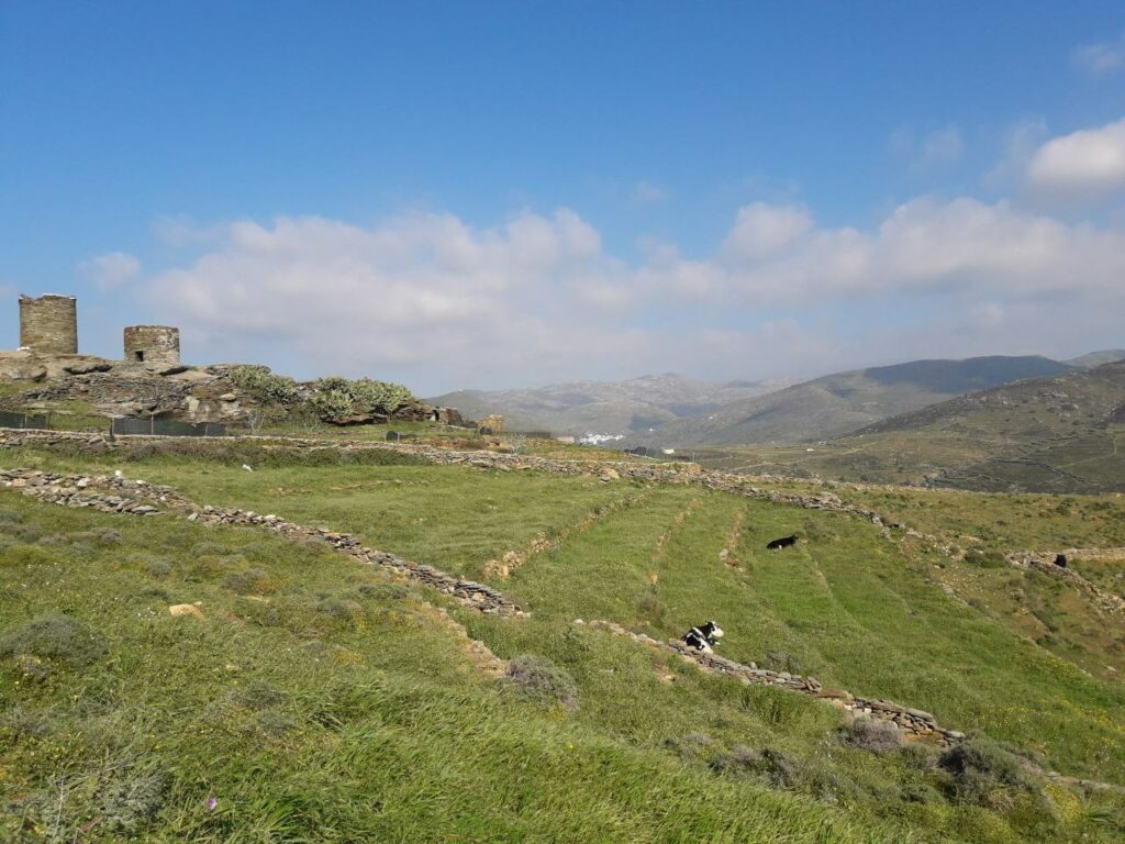 Tinos Food Paths 2019 - Media