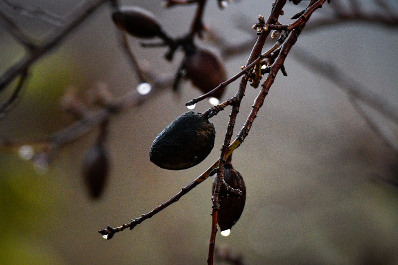 Καιρός: Νέο κύμα κακοκαιρίας και έντονα φαινόμενα και στην Αττική τη Δευτέρα - Media