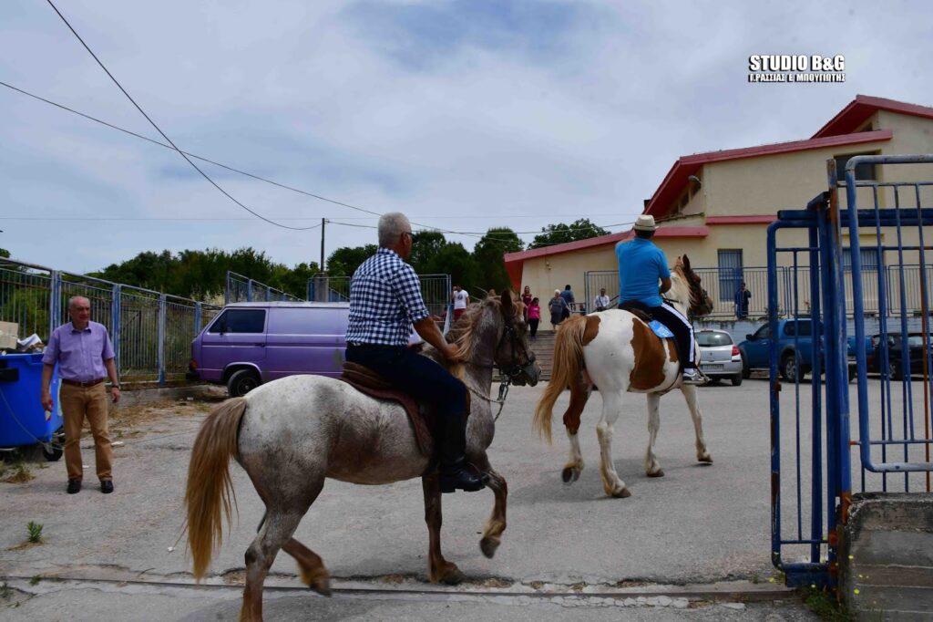 Ναύπλιο: Πήγαν στην κάλπη με τα… άλογα (Photos/Video) - Media