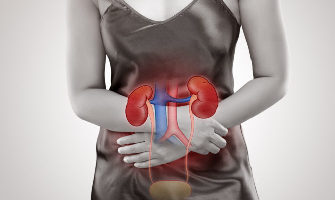Νεφρική ανεπάρκεια: Ποια σημάδια να σας ανησυχήσουν  - Media