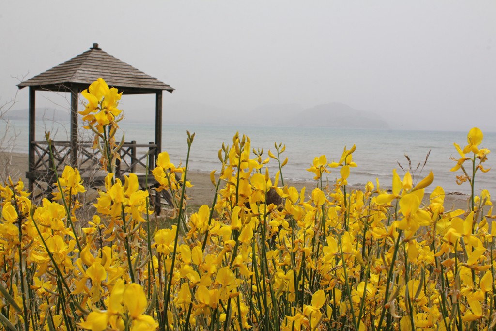 Καιρός: Νέα άνοδος της θερμοκρασίας αλλά με συνοδεία αφρικανικής σκόνης - Media