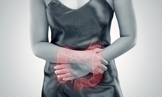 Σκωληκοειδής απόφυση:  Από ποια ασθένεια μας προστατεύει - Media