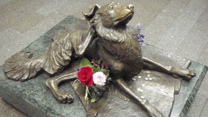 «Συμπόνια»: Ένα άγαλμα για ένα σκυλάκι στο μετρό της Μόσχας - Media