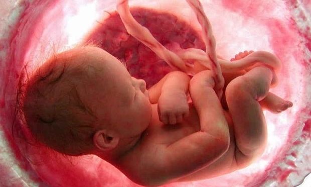 Χονγκ Κονγκ: Καθάρισαν μετά τις διαδηλώσεις - Media