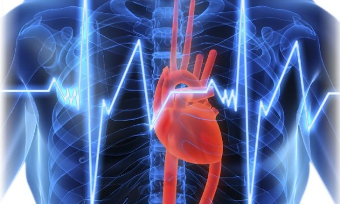 Κολπική μαρμαρυγή: Προσοχή στα πρώιμα «αθώα» συμπτώματα - Media