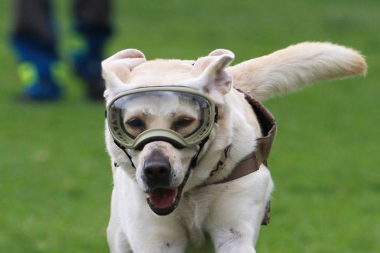 Η Φρίντα πήρε σύνταξη από το Πολεμικό Ναυτικό (Photos/Video) - Media