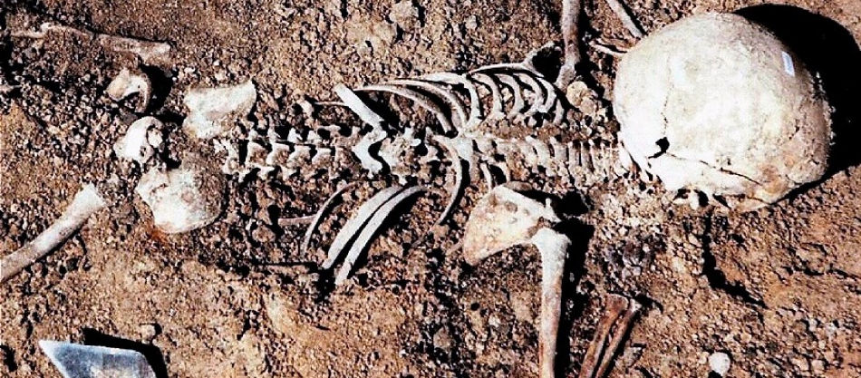 Σοκαριστικό εύρημα από βοσκό στην Εύβοια - Βρέθηκε μπροστά σε ανθρώπινο σκελετό - Media