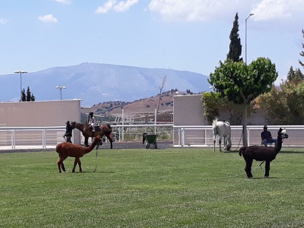 Ξανά στη Μεσσηνία για διακοπές ο Κριστιάνο Ρονάλντο (Photos) - Media