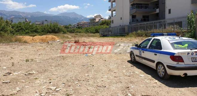 Θρίλερ με νεκρό άλογο στην Πάτρα - Η ΕΛ.ΑΣ προχώρησε σε προσαγωγή ενός ατόμου - Media