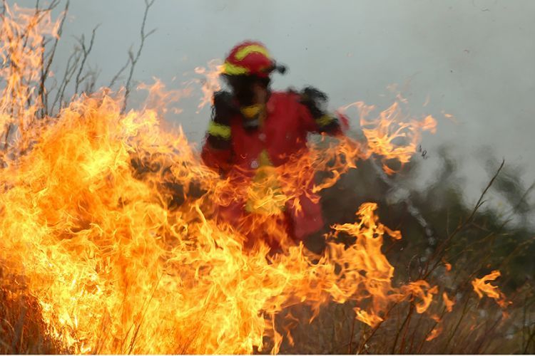 Συναγερμός στην Πυροσβεστική - Πυρκαγιές σε Κεφαλονιά και Μεσσηνία  - Media