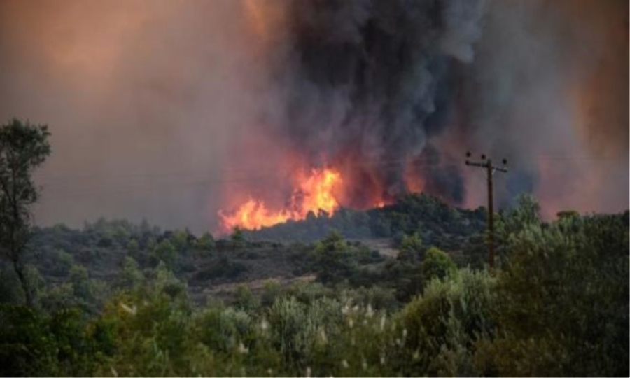 Πυρκαγιά από κεραυνό στο Σοφικό  - Media