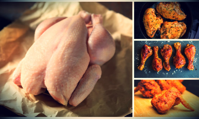 Πόσο παχαίνει το κοτόπουλο; Θερμίδες σε στήθος, μπούτι, φτερούγα – Τι κάνει η πέτσα… - Media