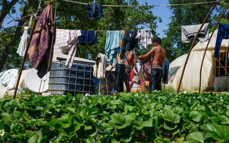Καταγγελίες: Σύγχρονοι δούλοι παραμένουν οι εργάτες της Μανωλάδας  - Media