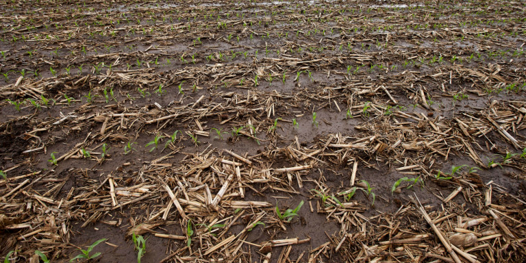 Κίνα: 19 νεκροί από τις πλημμύρες -Καταστράφηκαν σπίτια και καλλιέργειες (Video) - Media