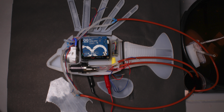 Tο πρώτο ρομποτικό ψάρι - Κινείται με συνθετικό αίμα (video) - Media