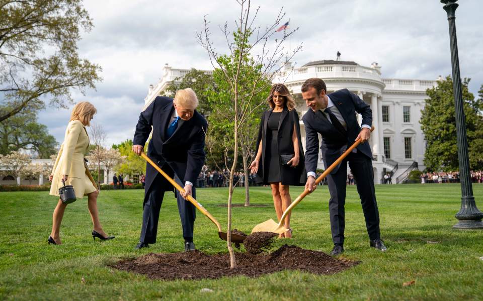 Το δέντρο-σύμβολο της φιλίας των Ντόναλντ Τραμπ και Εμανουέλ Μακρόν είναι νεκρό - Media