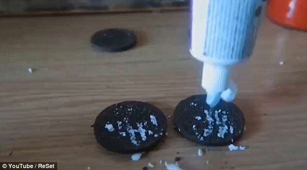 Έδωσε σε άστεγο να φάει μπισκότα oreo που τους είχε βάλει οδοντόκρεμα, για να σπάσει πλάκα (Photos) - Media