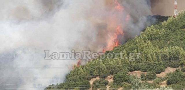 Μεγάλη πυρκαγιά στη Φθιώτιδα - Αισιοδοξία για οριοθέτησή της (Video) - Media