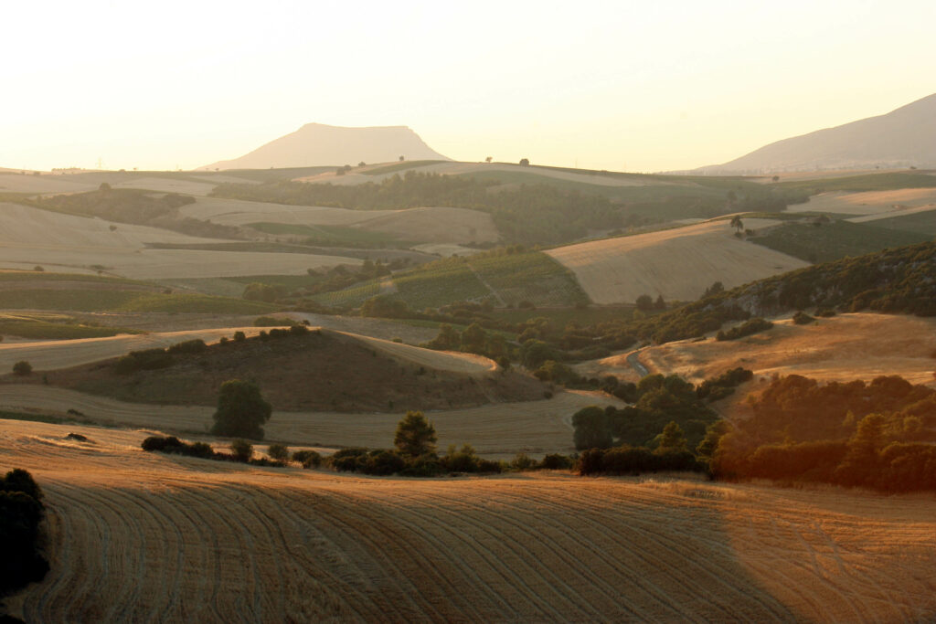 Κτηματολόγιο: Δεν ισχύει η εξάμηνη παράταση προς όλους - Ποιους αφορά - Media
