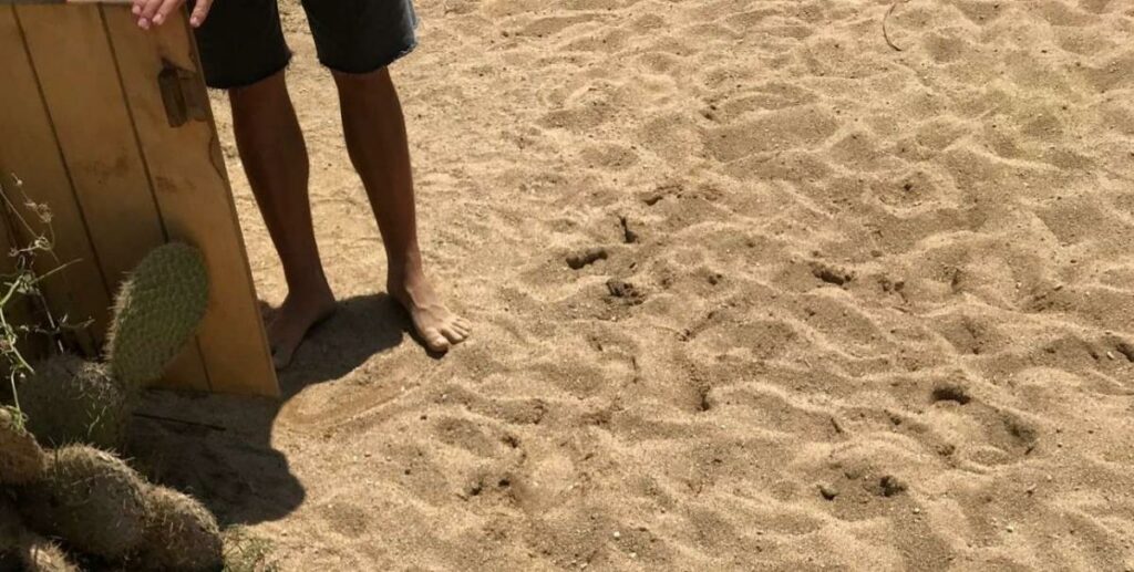 Κύπρος: Στο δικαστήριο η 19χρονη Βρετανίδα για τα ψέματα περί ομαδικού βιασμού (Video) - Media