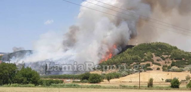 Πυρκαγιά στην Φθιώτιδα κοντά σε οικισμούς - Επικίνδυνα «παιχνίδια» του ανέμου (Photos/Video) - Media Gallery 9