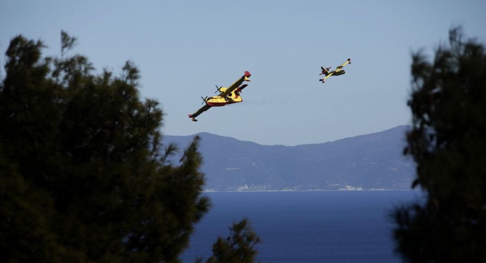 Πυρκαγιά ξέσπασε στην Κεφαλονιά - Media