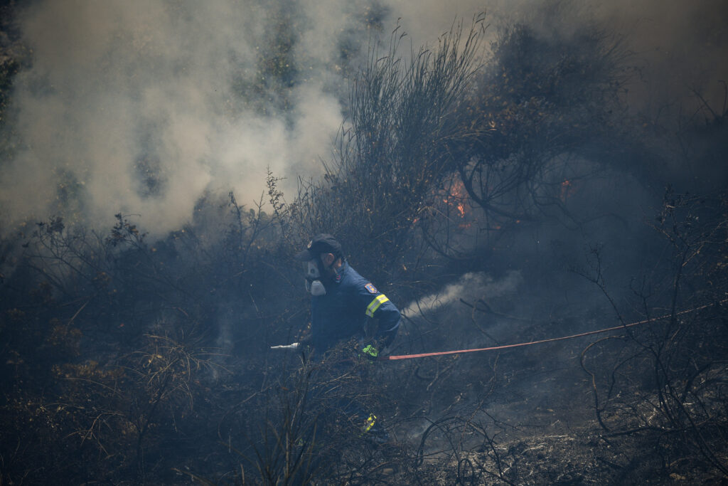 Σε ύφεση τα μέτωπα της πυρκαγιάς στην Εύβοια μετά την ολονύχτια μάχη των πυροσβεστών - Media