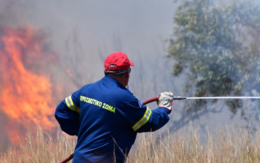 Υπό μερικό έλεγχο η φωτιά σε δάσος στην Κεφαλονιά - Media
