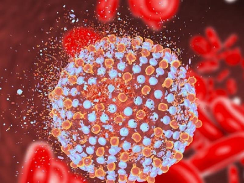 Χιλιάδες ασθενείς της ηπατίτιδας C στην Ελλάδα αγνοούν ότι έχουν τη νόσο	 - Media