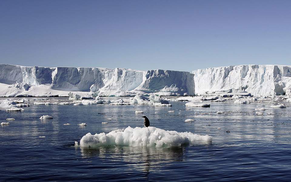 Ανταρκτική: Ανησυχία από το νέο ρεκόρ θερμοκρασίας! Ξεπέρασε τους 20 βαθμούς - Media