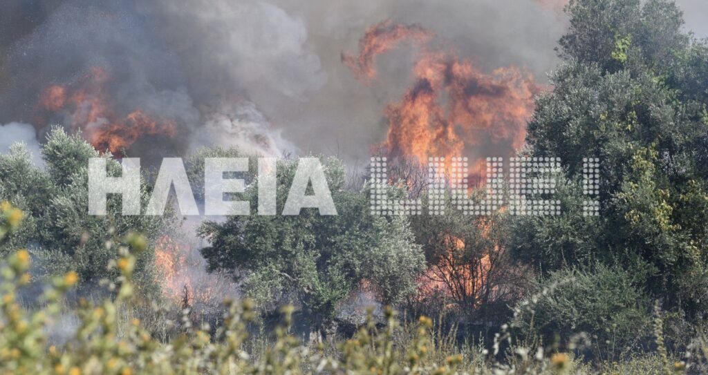 Μεγάλη πυρκαγιά στον Πύργο Ηλείας - Media