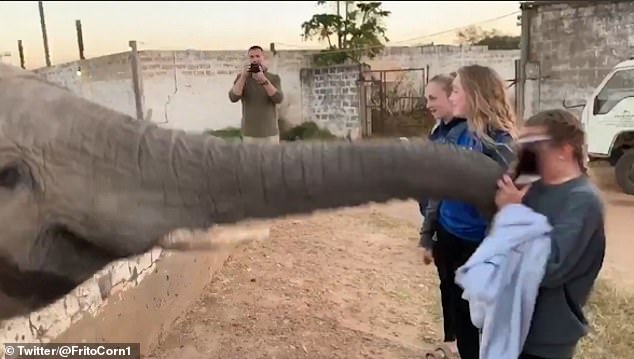 Μην εκνευρίζετε τα άγρια ζώα – Ελέφαντας «χαστουκίζει» με την προβοσκίδα του τουρίστρια και τη βγάζει νοκ άουτ (Video) - Media