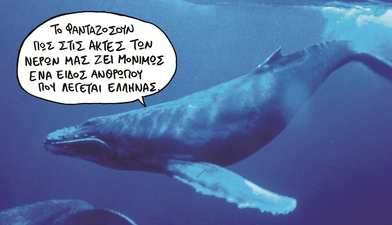 Η κλιματική αλλαγή έχει τρελάνει τα ζώα: Στην Ισλανδία ξεβράστηκαν στις ακτές, 50 φάλαινες - Media