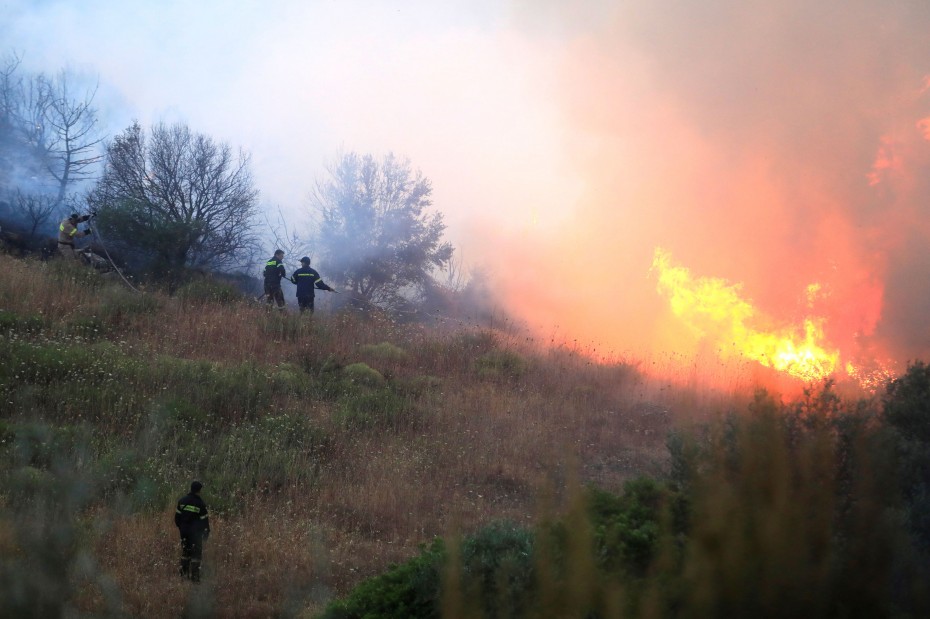 Συνελήφθη εμπρηστής που είχε κάψει τρία δάση στην Εύβοια - Media