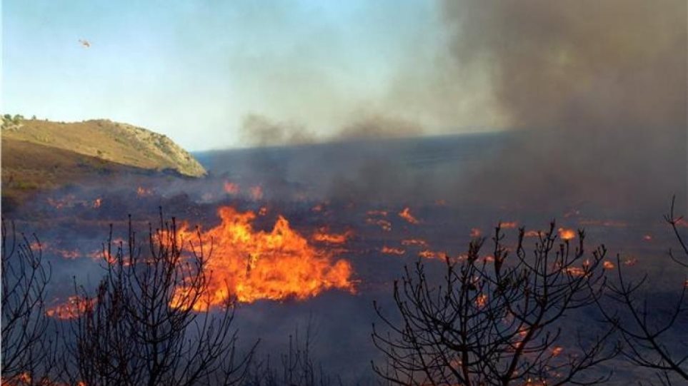 Ξέσπασε φωτιά σε αγροτική έκταση στη Μυτιλήνη  - Media