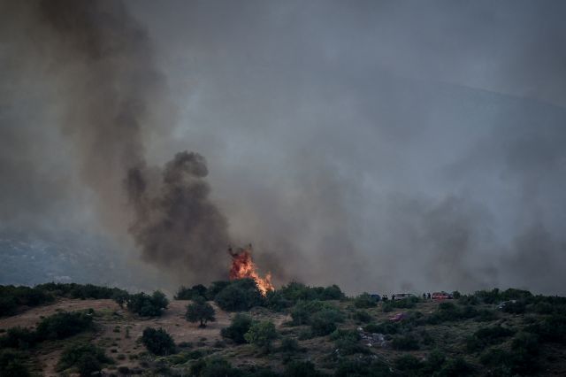 Από κεραυνό η πυρκαγιά κοντά στον εθνικό δρυμό Οίτης  - Media