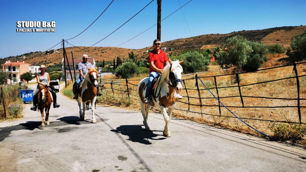 Αργολίδα: Στην κάλπη με τα άλογα – Μπήκαν έφιπποι στο εκλογικό τους τμήμα (Video) - Media