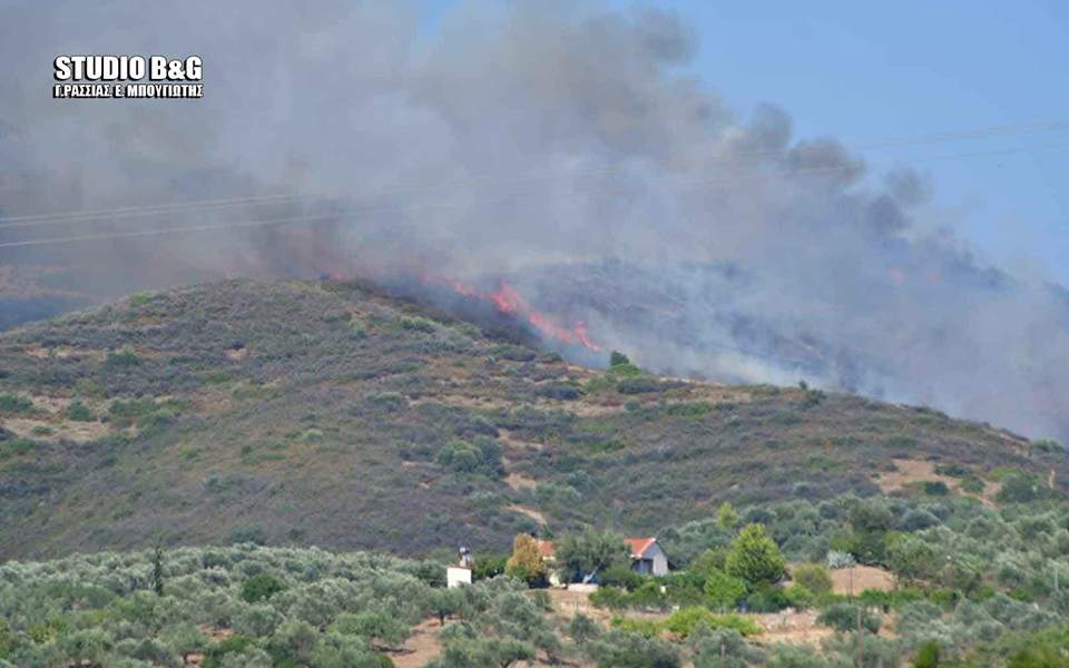 Υπό μερικό έλεγχο η πυρκαγιά στην Αργολίδα  - Media