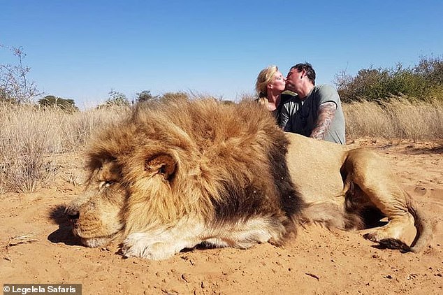 Διεστραμμένοι δολοφόνησαν λιοντάρι και στη συνέχεια πόζαραν μπροστά του και φιλήθηκαν  - Media