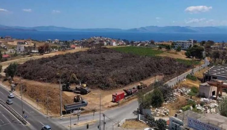 «Πυριτιδαποθήκη» στην Μαραθώνος - Aπέραντο προσάναμμα με χιλιάδες κομμένα δέντρα και κλαδιά από το Μάτι (Video)  - Media