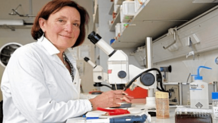 Υπόθεση Σούζαν Ίτον: Ζητά την επιμέλεια των παιδιών η σύζυγος του δράστη - Media