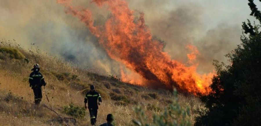 Κιλκίς: Πυρκαγιά σε δάσος - Ενισχύονται οι πυροσβεστικές δυνάμεις - Media