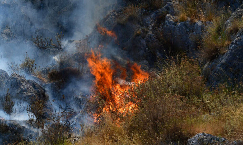 Υπό πλήρη έλεγχο η πυρκαγιά στην Παιανία - Media