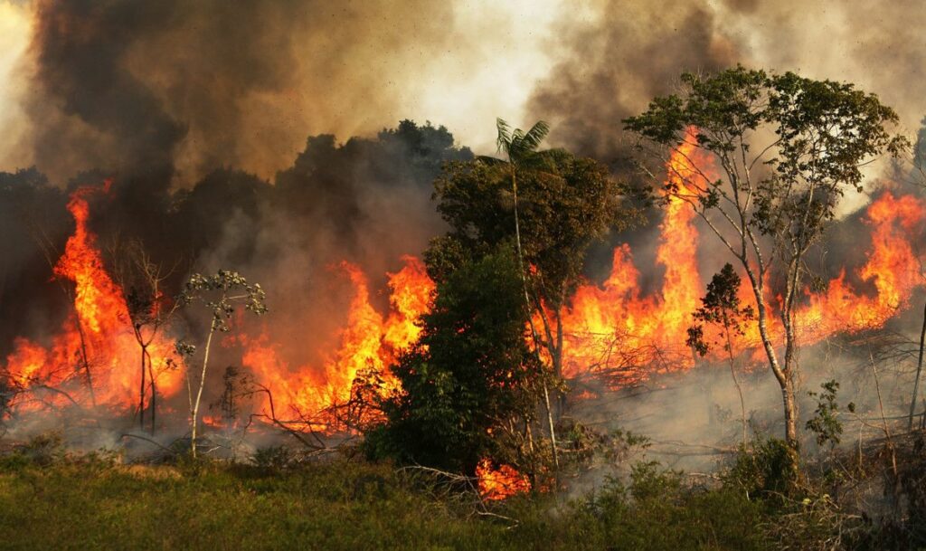 Αμαζόνιος: Έγκλημα κατά της ανθρωπότητας οι πυρκαγιές - «Ο Μπολσονάρου θέλει να τον καταστρέψει» λέει ινδιάνος αρχηγός - Media