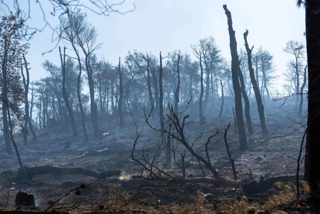 Σε ύφεση και οριοθετημένη η πυρκαγιά στην Εύβοια - Κάηκαν 23.565 στρέμματα - Media