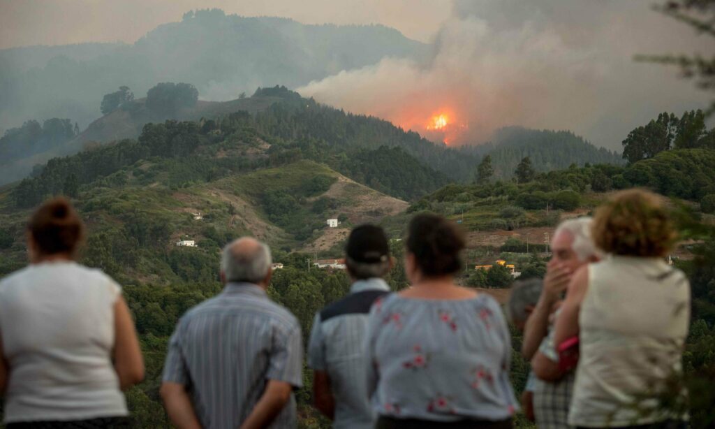 «Περιβαλλοντική τραγωδία» στο Γκραν Κανάρια (Photos) - Media