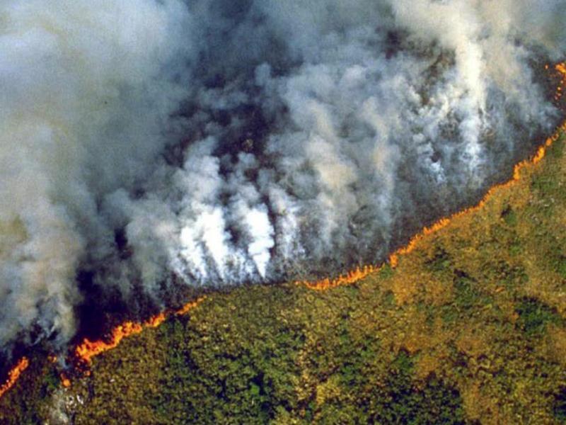 Νεκρό τοπίο ο Αμαζόνιος: Εκατοντάδες φωτιές καίνε το τροπικό δάσος - Media