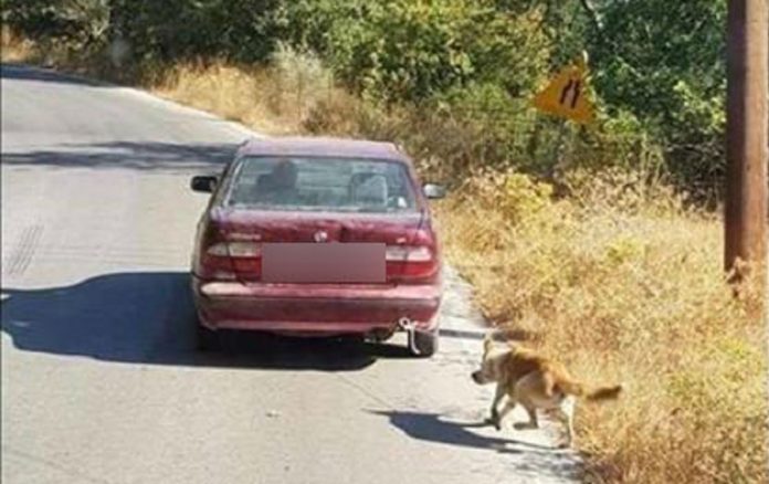 Κρήτη: Εγκληματίας βασάνιζε σκύλο – Τον έδεσε με σκοινί στο αμάξι και τον έσερνε σαν σακί - Media